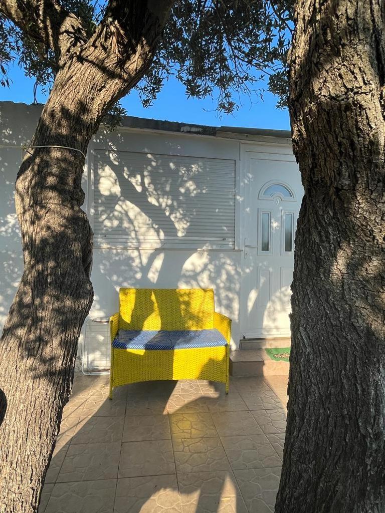 Apartment Greis Ražanj Dış mekan fotoğraf