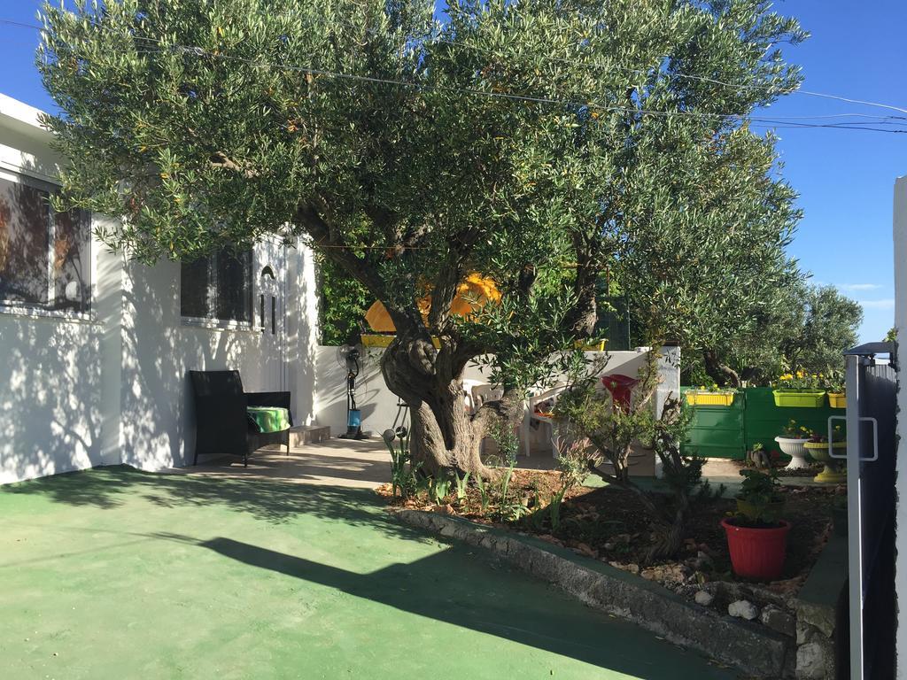 Apartment Greis Ražanj Dış mekan fotoğraf